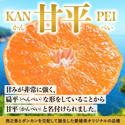 のま果樹園の甘平(約3kg)バラ詰め