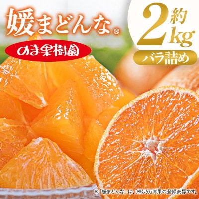 のま果樹園の媛まどんな(約2kg)バラ詰め