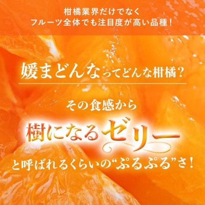 のま果樹園の媛まどんな(約3kg)バラ詰め