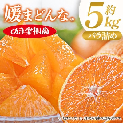 のま果樹園の媛まどんな(約5kg)バラ詰め