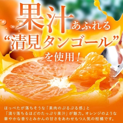のま果樹園のしまなみ清見タンゴールジュース(500ml/12本)