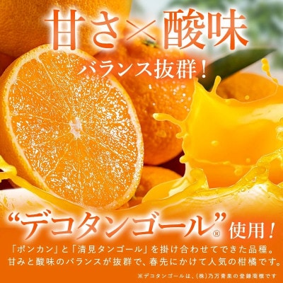 のま果樹園のしまなみデコタンゴールジュース(500ml/12本)