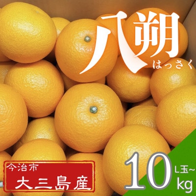 【先行予約】大三島産 八朔　約10kg【K003210L10】
