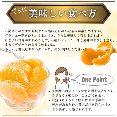 【先行予約】大三島産 八朔　約10kg【K003210L10】
