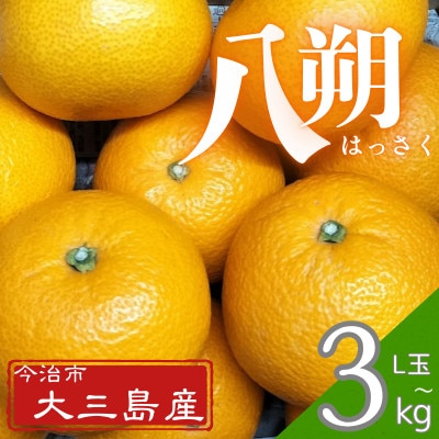 【先行予約】大三島産 八朔　約3kg【K003210L3】