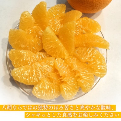 【先行予約】大三島産 八朔　約3kg【K003210L3】