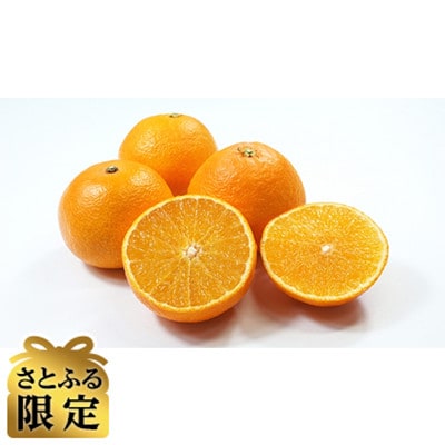 【さとふる限定】大三島マドンナ(愛果28号)