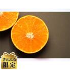 【さとふる限定】大三島マドンナ(愛果28号)化粧箱入