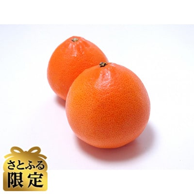 【さとふる限定】せとか4L～L化粧箱入