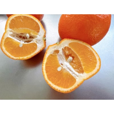 【さとふる限定】伊予かん4L～L 約10kg