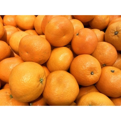 【さとふる限定】伊予かん4L～L 約10kg
