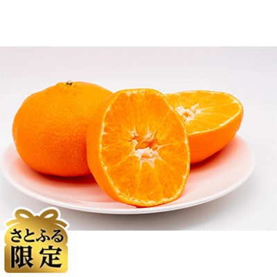 【さとふる限定】甘平(家庭用)