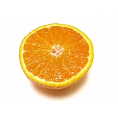【さとふる限定】不知火(家庭用)4L～L