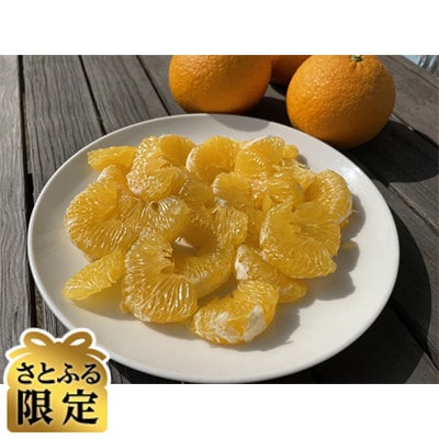 【さとふる限定】甘夏かん3L～L 約10kg