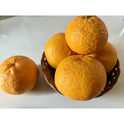 【さとふる限定】甘夏かん3L～L 約10kg