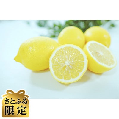 【さとふる限定】レモン　スイートレモネードS 約5kg