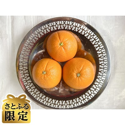 【さとふる限定】大三島ネーブル(家庭用)2L～S 約5kg
