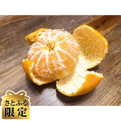 【さとふる限定】しまなみ温州みかん大玉約10kg