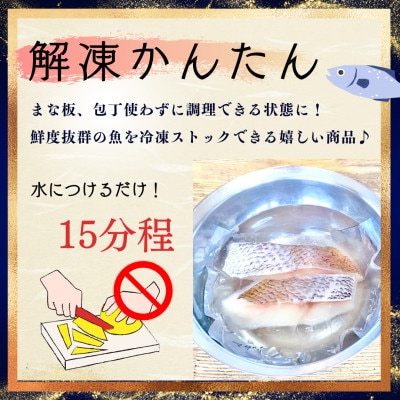天然真鯛と季節の骨抜き切り身詰合せ(12切れ)調味塩付きお試し用1パック付き【V001730】