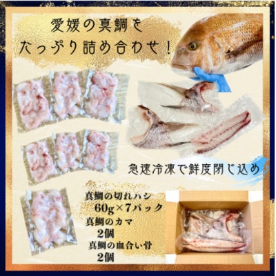 さかなやのまかない食材【愛媛の真鯛】生食用切り落とし1パック付き【V001740】