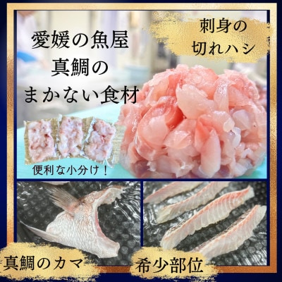 さかなやのまかない食材【愛媛の真鯛】生食用切り落とし1パック付き【V001740】