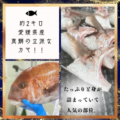 さかなやのまかない食材【愛媛の真鯛】生食用切り落とし1パック付き【V001740】