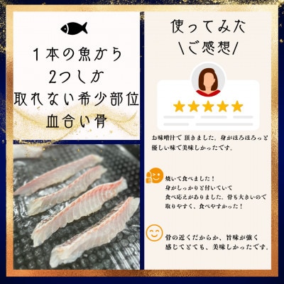 さかなやのまかない食材【愛媛の真鯛】生食用切り落とし1パック付き【V001740】