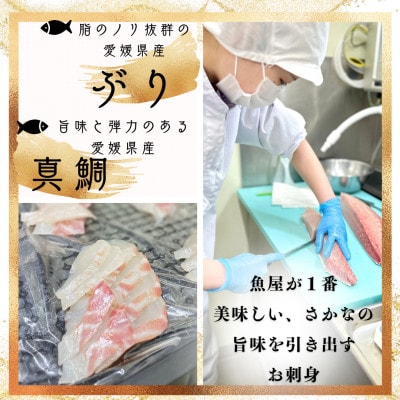 魚屋の漬け丼2種【V001750】