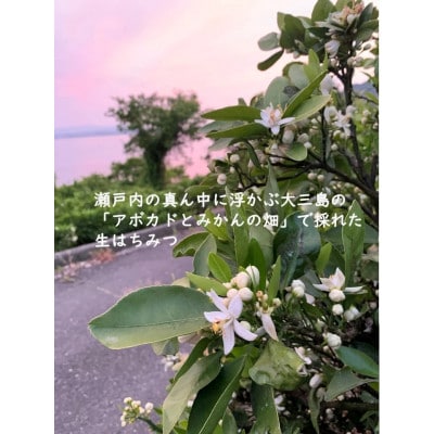 はちみつ450g 1瓶 Kura-Kura農園[V001330]