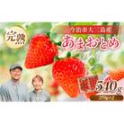 井上苺園　あまおとめ(270g×2パック)【V002540】