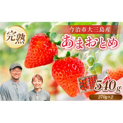 井上苺園　あまおとめ(270g×2パック)【V002540】