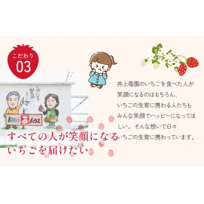 井上苺園　あまおとめ(270g×2パック)【V002540】