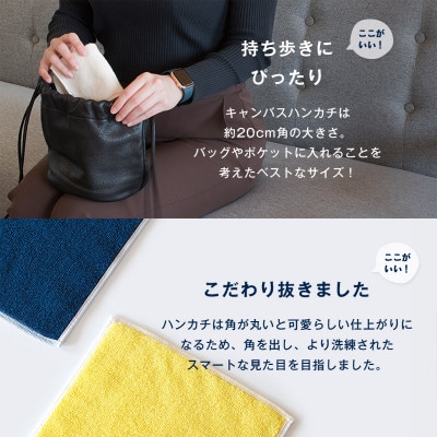 (今治タオル)キャンバスタオル　ハンカチ　3枚セット(パープル)【I002150HT3PU】