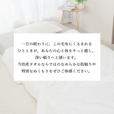 iimin 今治タオル毛布【I003910BK1】