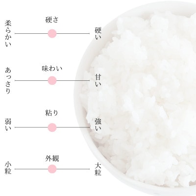 【ふるさと納税】令和7年産 愛媛県産 ヒノヒカリ 10kg 【V003280K10】