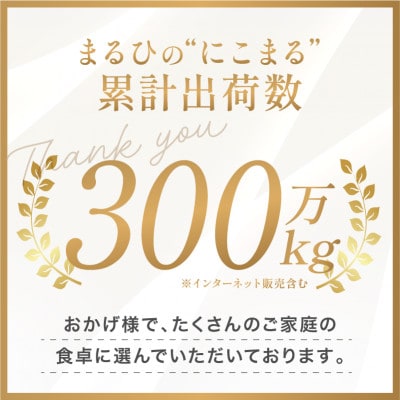 【ふるさと納税】令和7年産 愛媛県産 にこまる 10kg 【V003300K10】