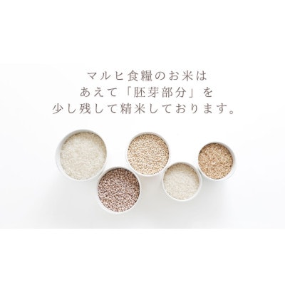 【ふるさと納税】令和7年産 愛媛県産 にこまる 10kg 【V003300K10】