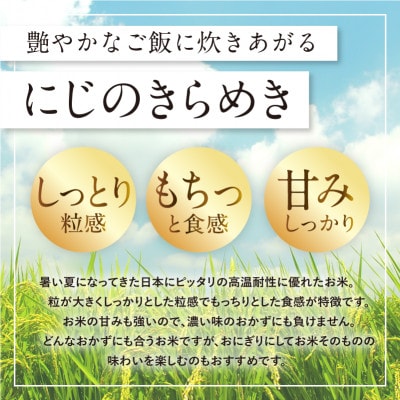 【ふるさと納税】令和7年産 愛媛県産 にじのきらめき 10kg 【V003310K10】