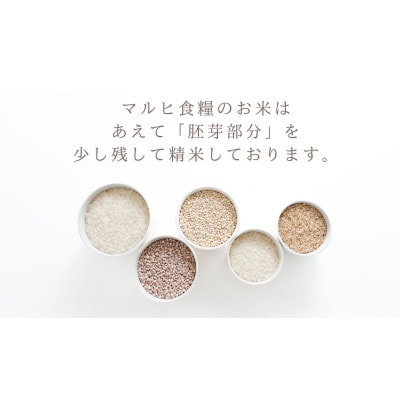 【ふるさと納税】令和7年産 愛媛県産 にじのきらめき 10kg 【V003310K10】