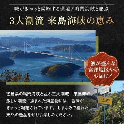 【村上水産】今治産しまなみわかめ 1袋 [V002520]