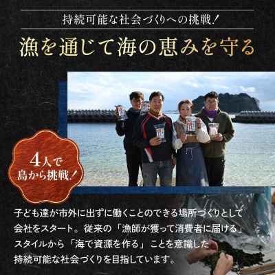 【さとふる限定】【村上水産】今治産しまなみアソート2袋セット(ひじき・わかめ)