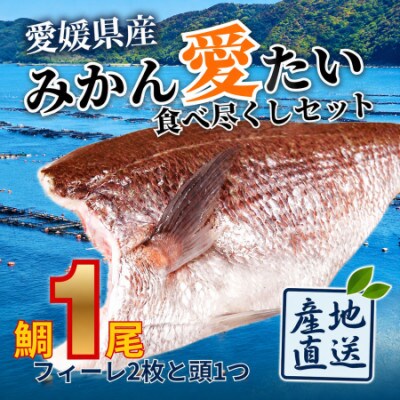 みかんの風味が詰まった愛媛県の公認ブランド 「みかん愛たい」食べ尽くしセット