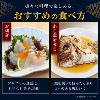 みかんの風味が詰まった愛媛県の公認ブランド 「みかん愛たい」食べ尽くしセット