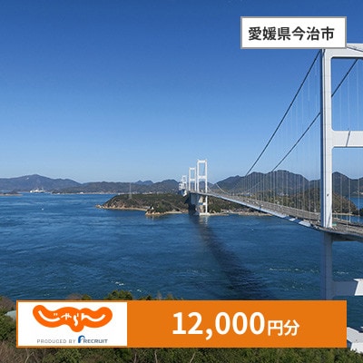 【じゃらんふるさと納税クーポン】 愛媛県今治市でつかえる12,000円 クーポン