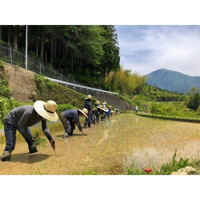 ときがゆったり流れてる“十津川　谷瀬”の地酒!季節限定【生酒】720ml　2本