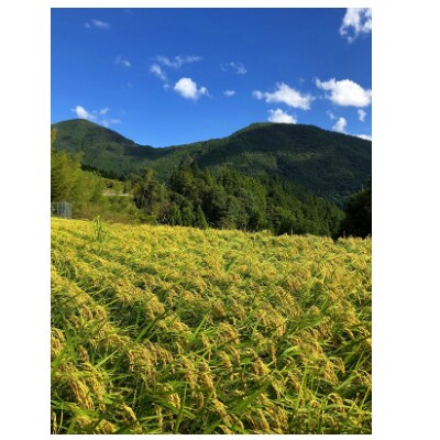 ときがゆったり流れてる”十津川　谷瀬”の地酒!季節限定【生酒・火入れ】720ml　各1本