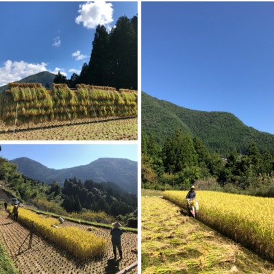 純米酒「谷瀬」の酒粕アイス　6個入り