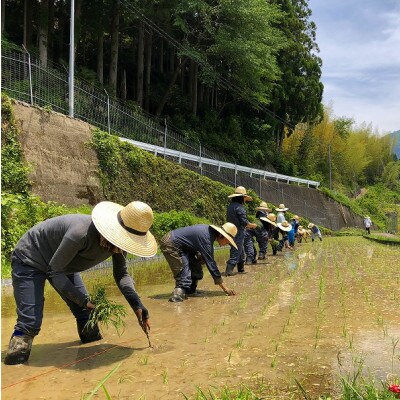 【のし付きギフト】ときがゆったり流れてる”十津川　谷瀬”の地酒【生酒・火入れ】720ml　各1本