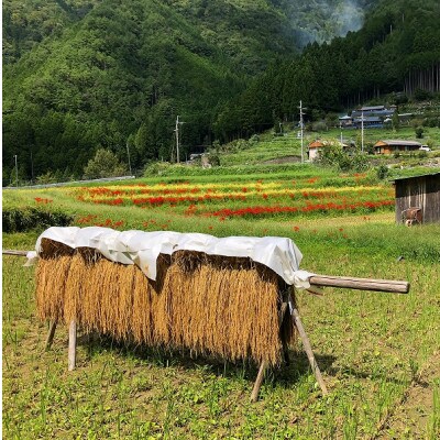 【のし付きギフト】ときがゆったり流れてる”十津川　谷瀬”の地酒【生酒・火入れ】720ml　各1本