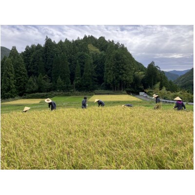 ノンアルコール　甘酒